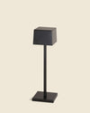 Insitu Black