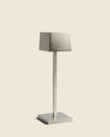 Insitu Premium Matt Nickel